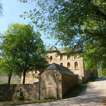 Château de Salelles Banassac Exterior foto