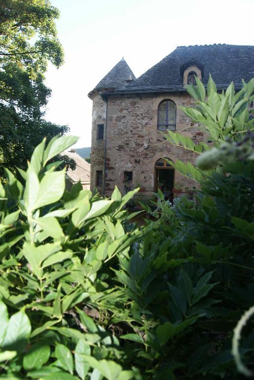 Château de Salelles Banassac Exterior foto